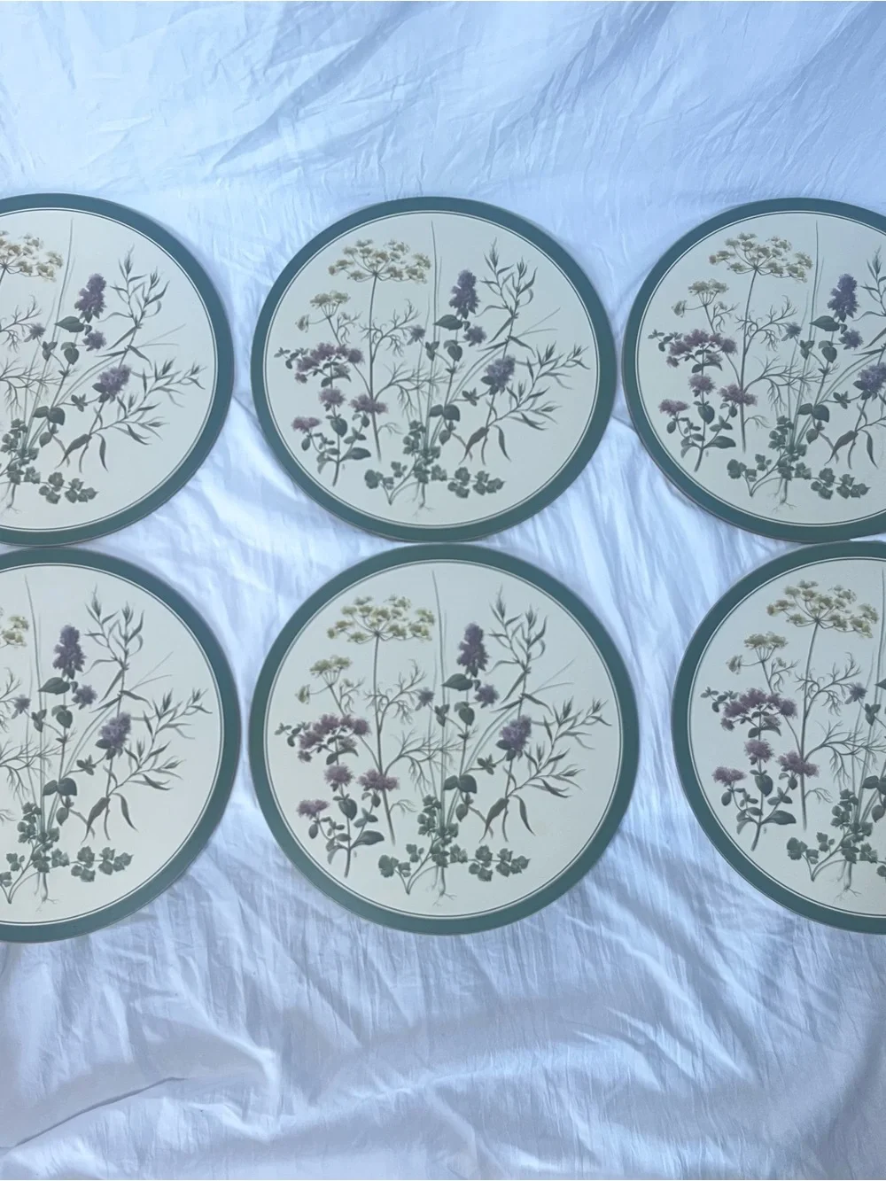 Vintage Cottagecore English Life Botanical Wildflower Placemats Set of 6